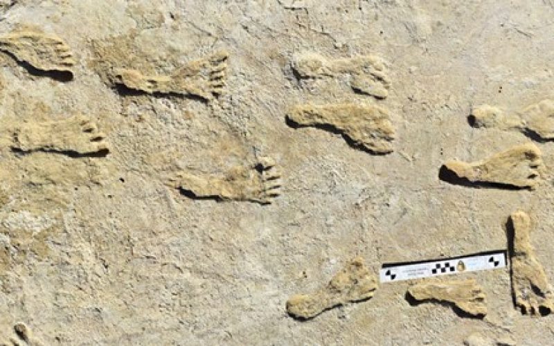 Amerika’da insana ait en eski ayak izleri bulundu