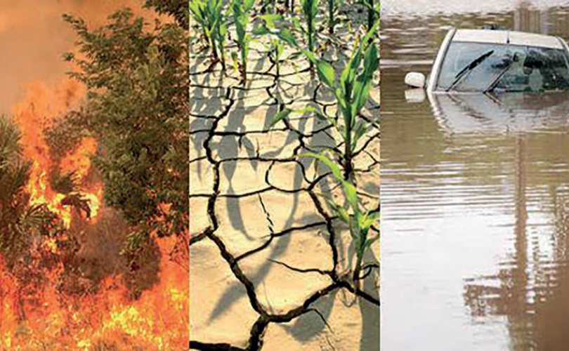 İklim değişikliğini durdurmak için son şansımız!