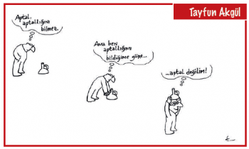 Sayı 294