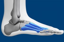 Başparmağımız nasıl gelişti?