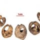 Fas’ta dünyanın en eski takıları bulundu