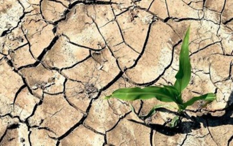 Kuzey yarımkürede kuraklık riski artıyor