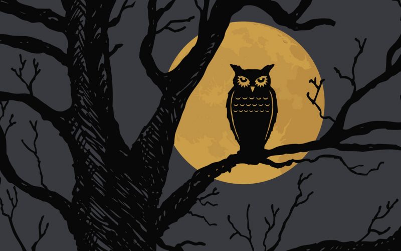 Geç yatma alışkanlığı beyni nasıl etkiliyor?