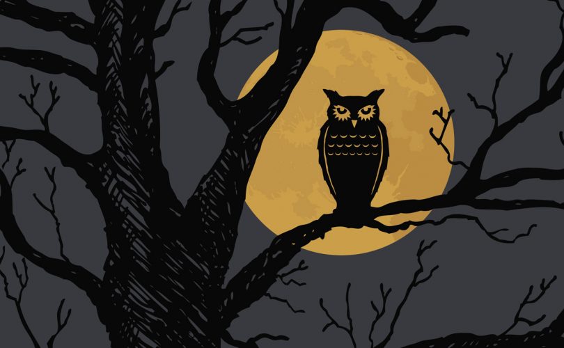 Geç yatma alışkanlığı beyni nasıl etkiliyor?