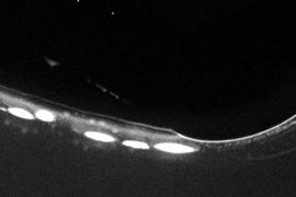 Yoksa yaşam kızgın kayaçlardaki gözeneklerde mi doğdu?