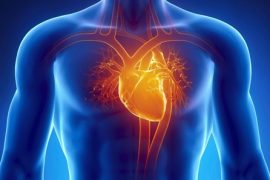 mRNA teknolojisi kalp hastalarına da yardımcı olacak