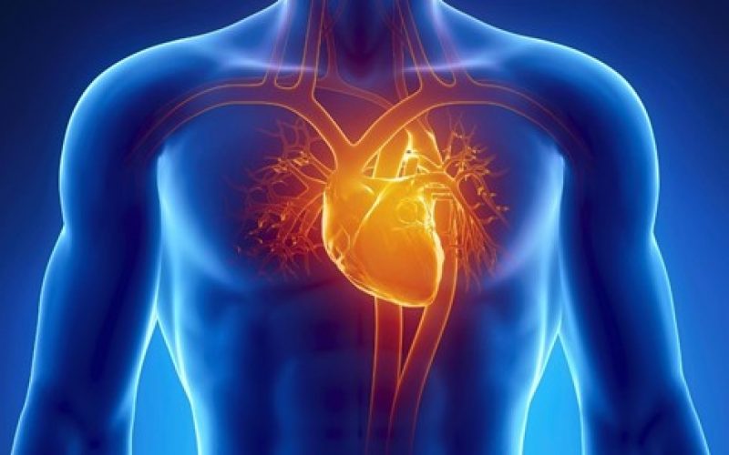 mRNA teknolojisi kalp hastalarına da yardımcı olacak