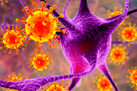 Multiple Skleroz hastalığından bir virüs mü sorumlu?