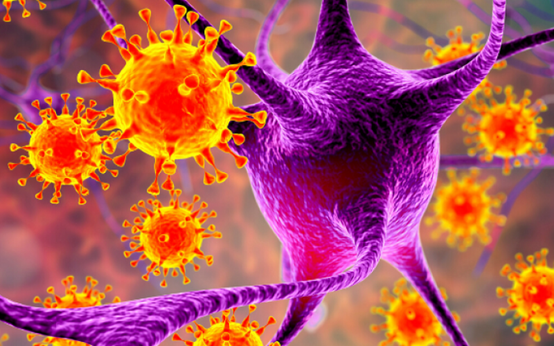 Multiple Skleroz hastalığından bir virüs mü sorumlu?