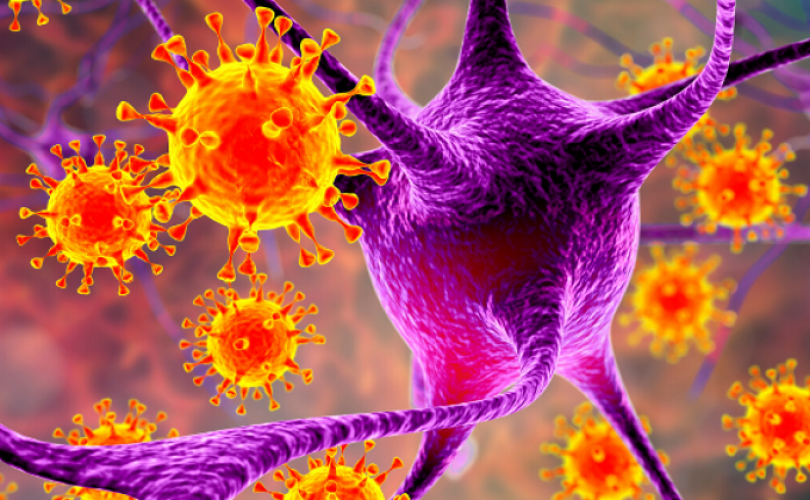 Multiple Skleroz hastalığından bir virüs mü sorumlu?