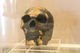 Doğu Afrikalı Homo sapiens… Meğer sanılandan çok daha önce yaşamış