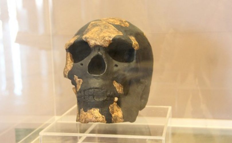 Doğu Afrikalı Homo sapiens… Meğer sanılandan çok daha önce yaşamış