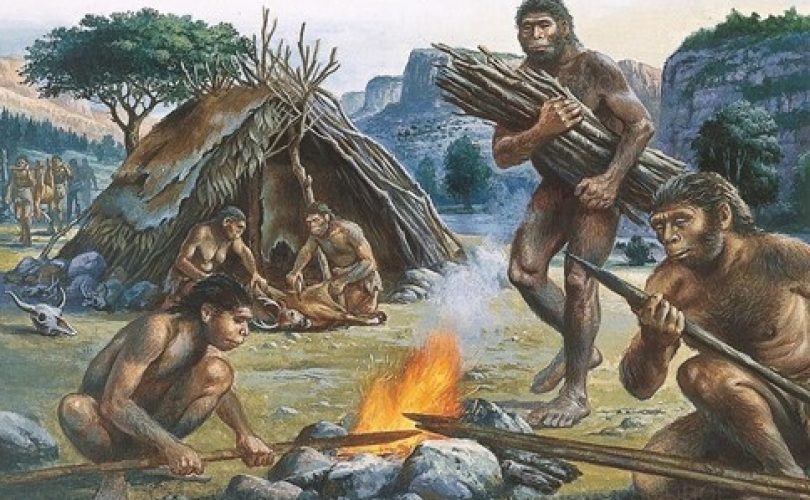 Yoksa bizi insan yapan et tüketimi değil, ateş miydi?