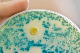 Antibiyotiğe karşı dirençli bakteriler yüzünden 1,2 milyon kişi hayatını kaybetti