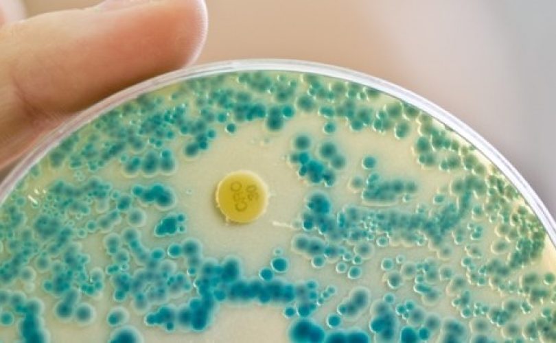 Antibiyotiğe karşı dirençli bakteriler yüzünden 1,2 milyon kişi hayatını kaybetti