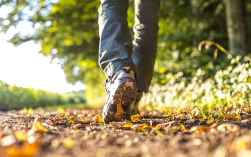 Düşünmeden dolaşmak, yaratıcılığı tetikliyor