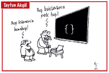 Sayı 312