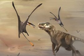 Jura devrinin en büyük uçan dinozoru bulundu