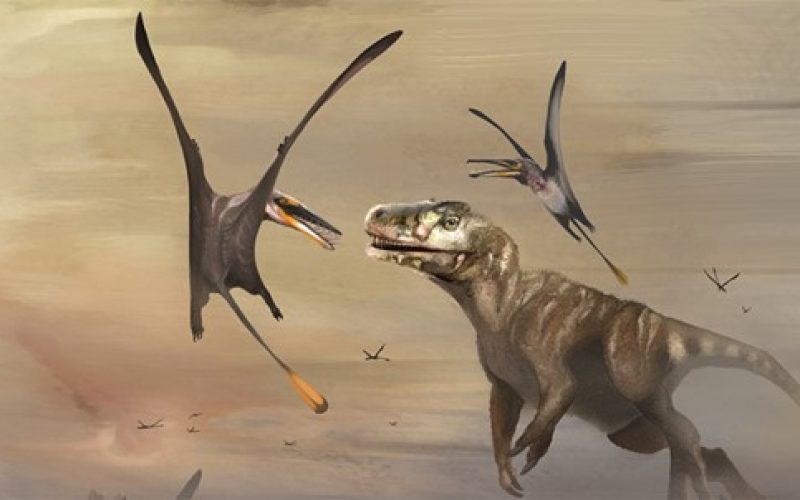 Jura devrinin en büyük uçan dinozoru bulundu