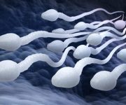 Hava kirliliği sperm kalitesini bozuyor