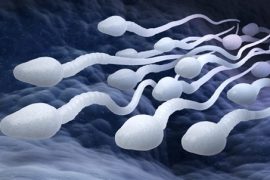 Hava kirliliği sperm kalitesini bozuyor