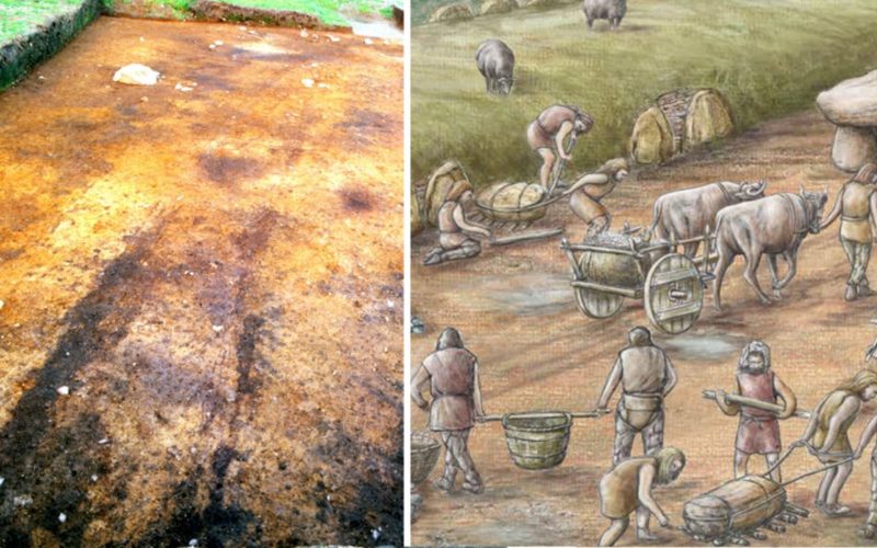 Dünyanın en eski tekerlek izleri