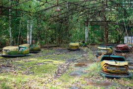 Çernobil’in gösterdiği: İnsanların ekosisteme verdiği zarar, radyasyondan daha fazla