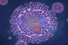 Maymun çiçeği hastalığı pandemi oluşturur mu?