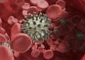 Çoklu dirençli HI virüslerine karşı yeni bir ilaç