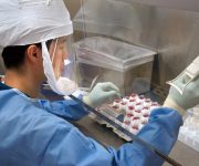 H5N1 ‘kuş gribi’ virüsünün evrimi tanımlandı