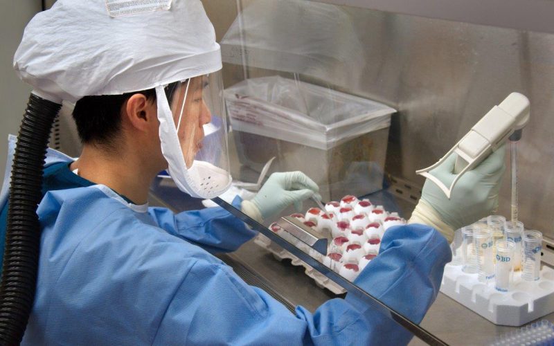 H5N1 ‘kuş gribi’ virüsünün evrimi tanımlandı