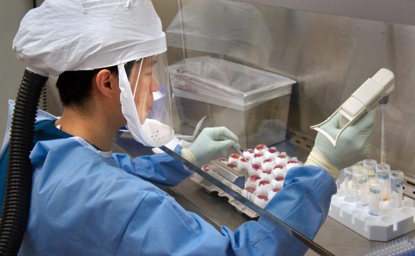 H5N1 ‘kuş gribi’ virüsünün evrimi tanımlandı