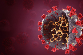 Omikron BA.4 ve BA.5 ile yine dünya sahnesinde