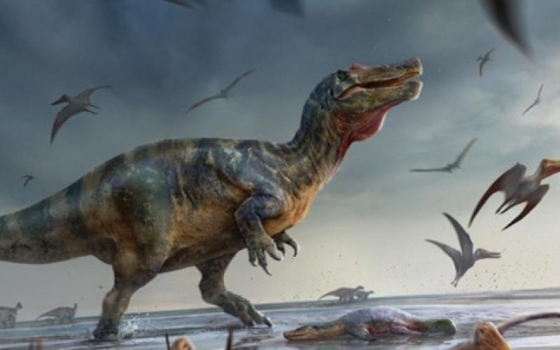 Avrupa’da 10 metrelik dev dinozor fosili