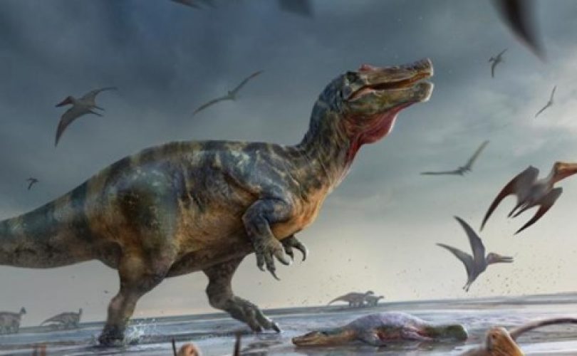 Avrupa’da 10 metrelik dev dinozor fosili