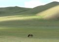 Orta Asya çöl olma yolunda hızla ilerliyor