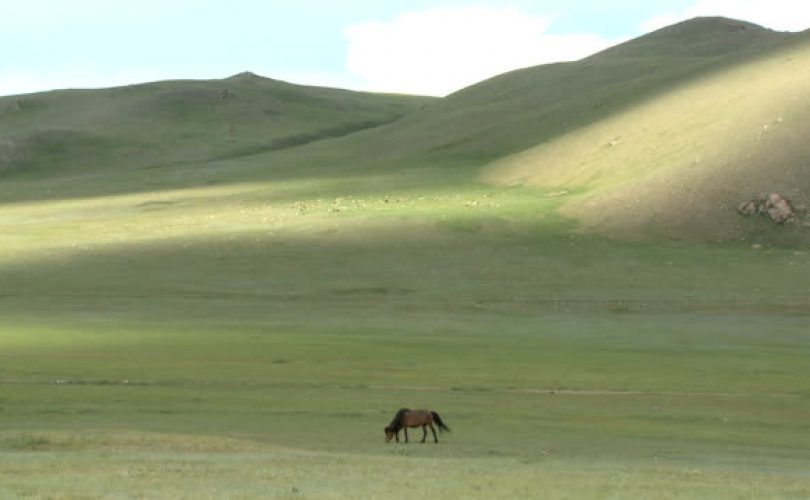 Orta Asya çöl olma yolunda hızla ilerliyor