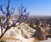 Unesco Dünya Mirası Göreme’de 1. derece arkeolojik ve doğal sit alanında yol yapılması