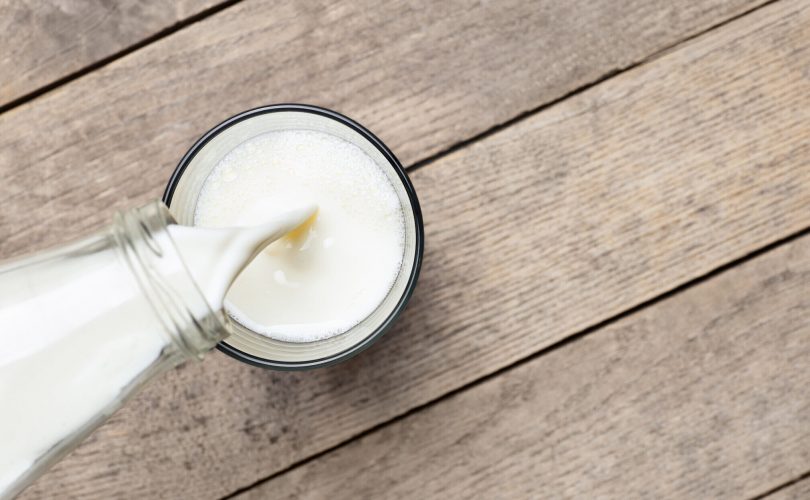 Avrupalılar sütü nasıl hazmetmeye başladılar?