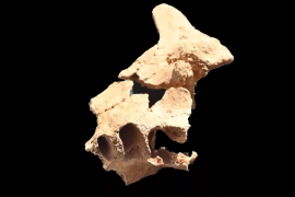 İspanya’da “Avrupalının ilk yüzü” bulundu