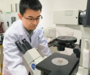 Çin mikroplastikleri temizlemek için yeni robotlar geliştirdi