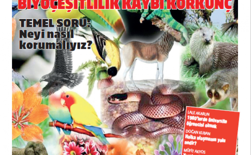 HBT Dergi 351. sayı – 22 Aralık 2022