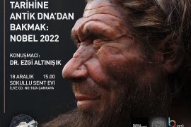 ‘Sokullu’da Rönesans’ günleri başlıyor