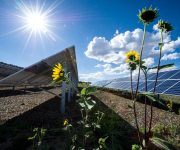 Güneş ve rüzgardan elektrik sınırsız ve sorunsuz mu?