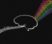Dinleyicilerin beyin sinyalleri okundu ve Pink Floyd şarkısı yeniden yaratıldı