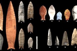 Kuzey Amerika ve Arabistan’daki taş uçların farklı işlevleri vardı