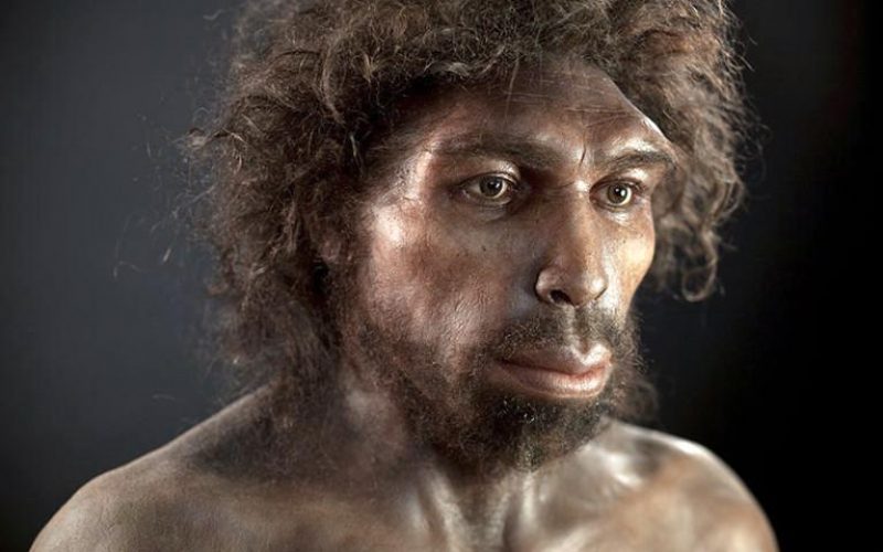 Atalarımızın soyu tükenmek üzereydi… İnsanlık, son anda sıyırdı!