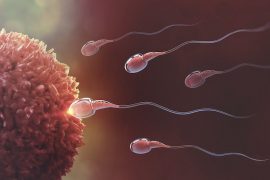 Sperm hakkında 7 ilginç bilgi