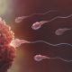 Sperm hakkında 7 ilginç bilgi