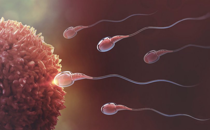 Sperm hakkında 7 ilginç bilgi